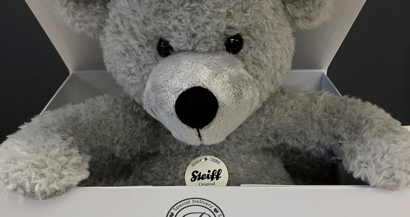 A Steiff bear available at Betty McKensie