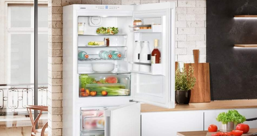 fridge freezer