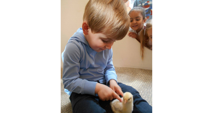 child with duckling