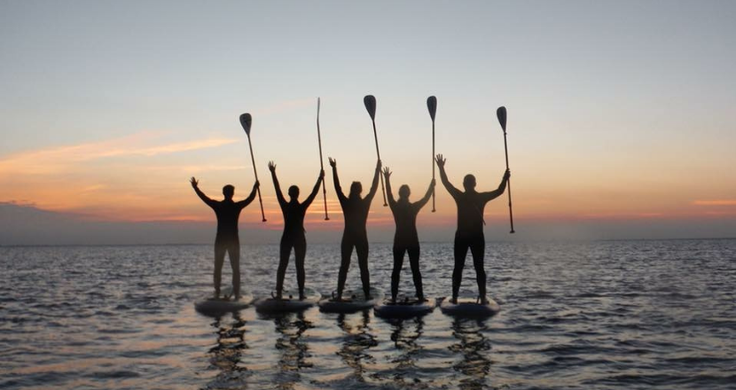 group of people in the sea standing on paddle boards