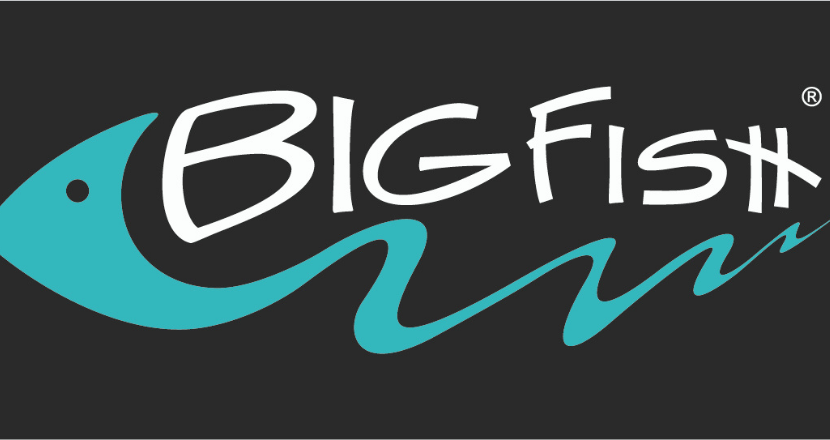 Big Fish logo