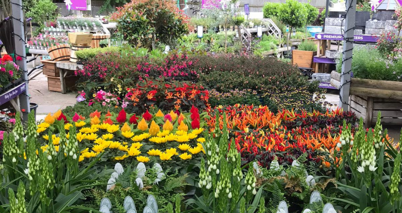 Pennels Garden Centre