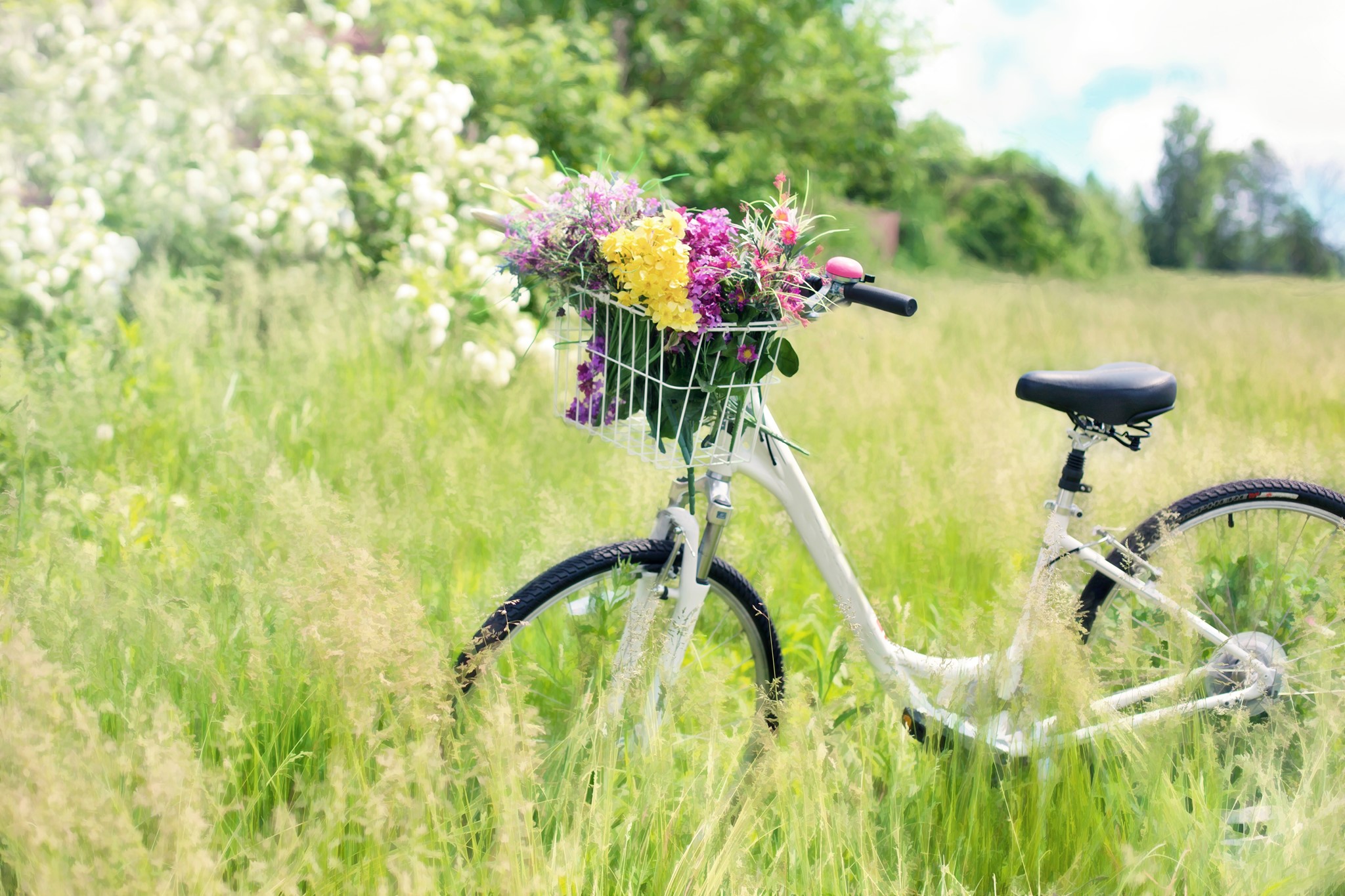 Default image for Cycle Hub Lincs