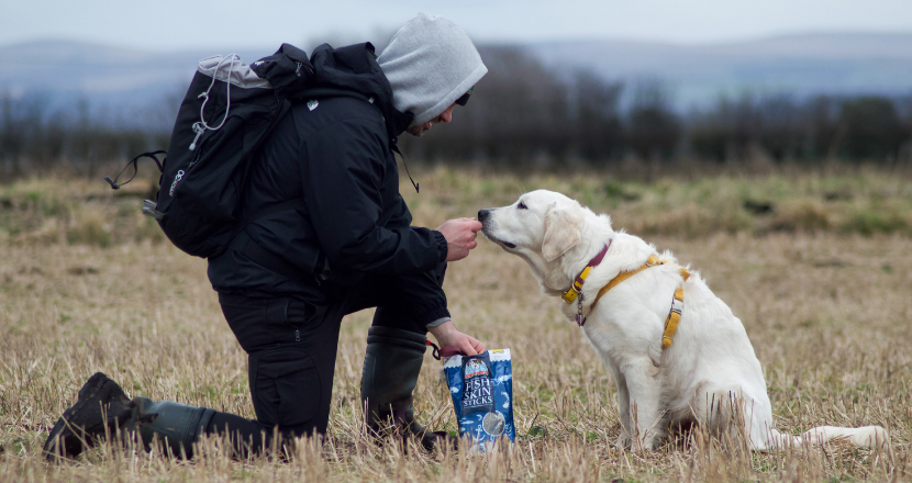 adult feeding dog